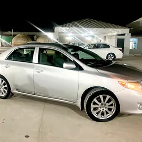 Toyota Corolla 2010