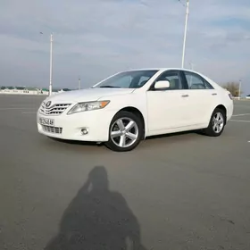 Toyota Camry 2010