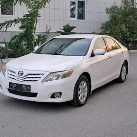 Toyota Camry 2010