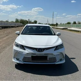 Toyota Camry 2019