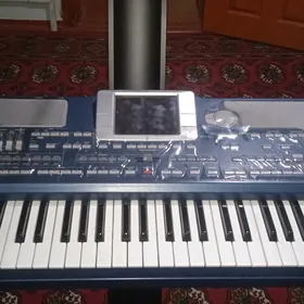 Korg pa 800 Pauk stoyka