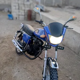 Fekon FK150-8G 2019