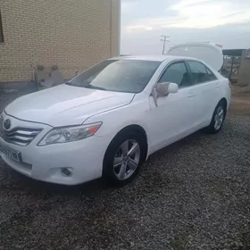 Toyota Camry 2010