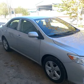 Toyota Corolla 2010