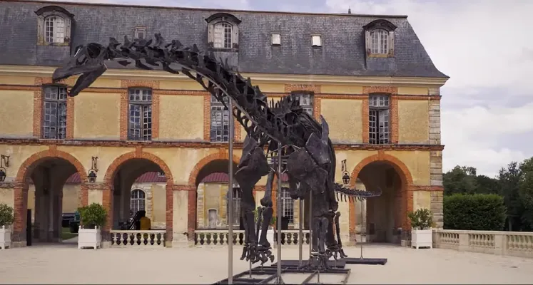 Parižde auksionlaryň taryhynda “iň uly dinozawryň” skeleti satyldy