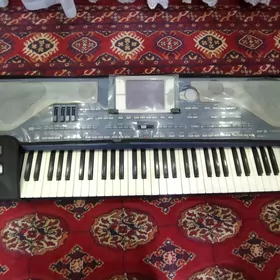 KORG PA800