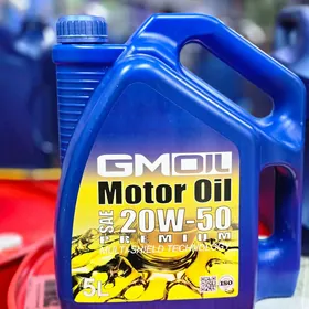 GM OIL 20/50 5L