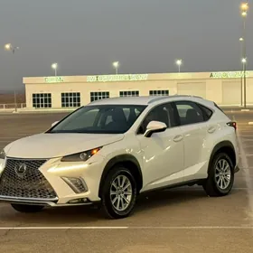 Lexus NX 300 2019