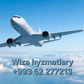 Wiza hyzmatlary