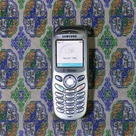 Samsung SGH-X100 arassa