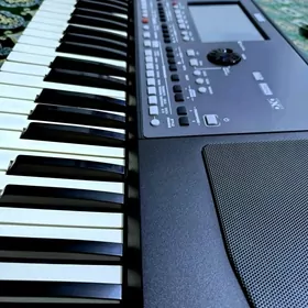 KORG  pa600  Quarter  tone