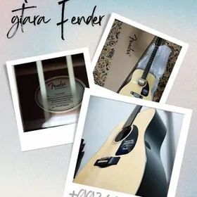 FENDER gitara mosny aksutik