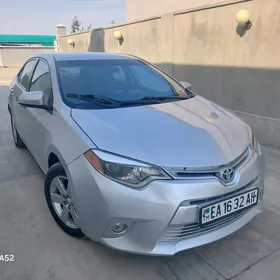 Toyota Corolla 2014