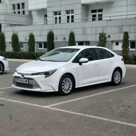 Toyota Corolla 2020