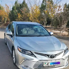 Toyota Camry 2019