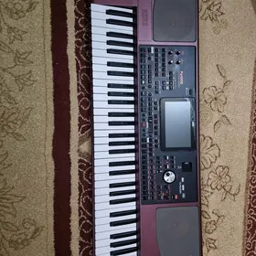 blok korg pa1000