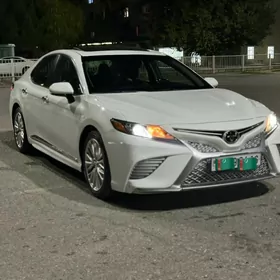 Toyota Camry 2019