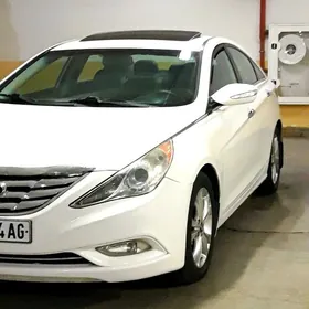 Hyundai Sonata 2010