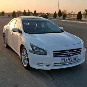 Nissan Maxima 2010