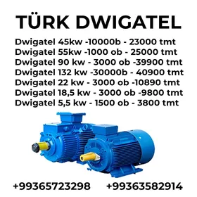 Diwigatel, Elektrodiwigtel