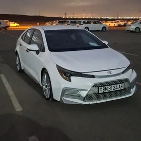 Toyota Corolla 2021