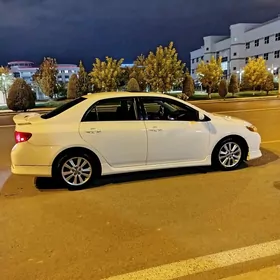 Toyota Corolla 2010