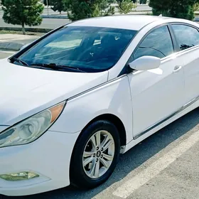 Hyundai Sonata 2010