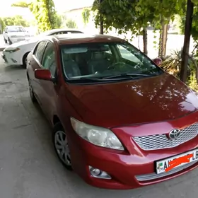 Toyota Corolla 2010