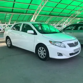 Toyota Corolla 2010