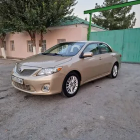 Toyota Corolla Verso 2011