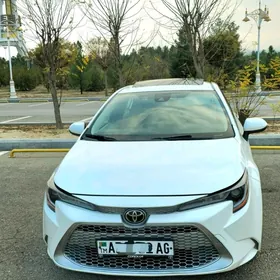 Toyota Corolla 2020