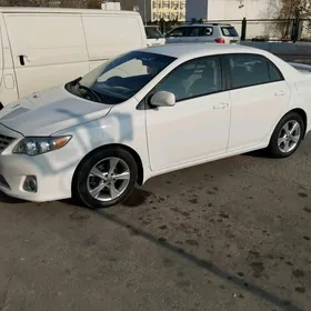 Toyota Corolla 2010