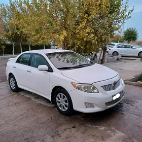 Toyota Corolla 2010