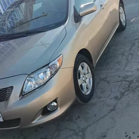 Toyota Corolla 2010