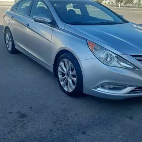 Hyundai Sonata 2010