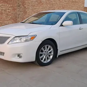 Toyota Camry 2010