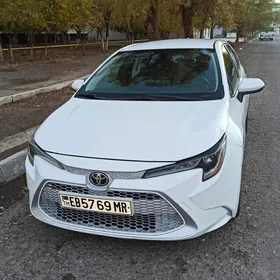 Toyota Corolla 2019