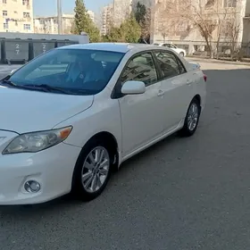 Toyota Corolla 2011