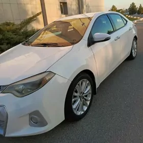 Toyota Corolla 2014