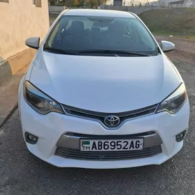 Toyota Corolla 2014