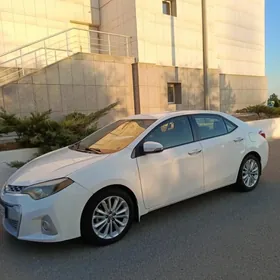 Toyota Corolla 2014