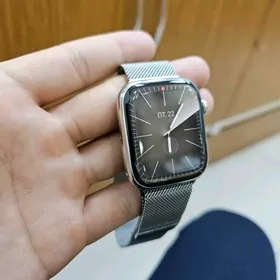 Apple watch 9 stainless