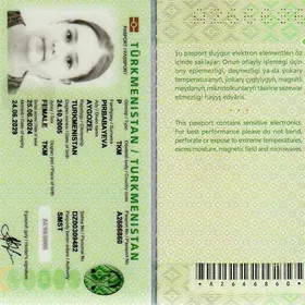 Pasport maglumaty