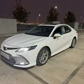 Toyota Camry 2019