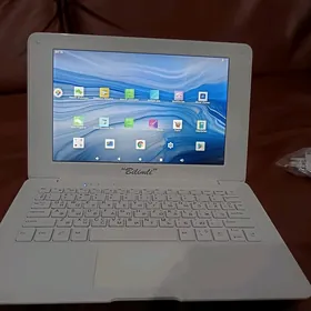 Bilimli netbook