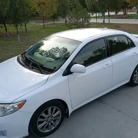 Toyota Corolla 2010