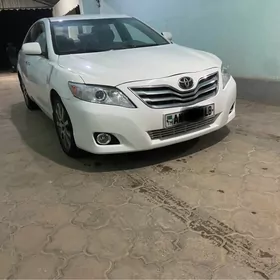 Toyota Camry 2010