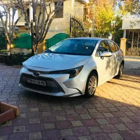 Toyota Corolla 2021