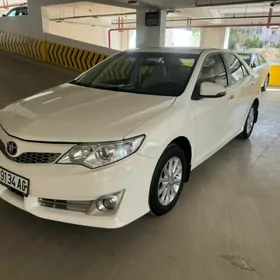 Toyota Camry 2013