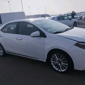 Toyota Corolla 2014